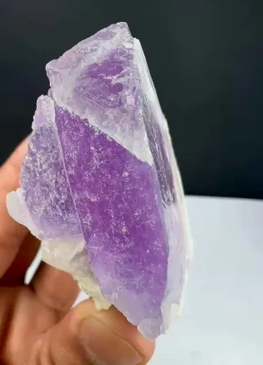 specimen video