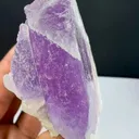specimen video