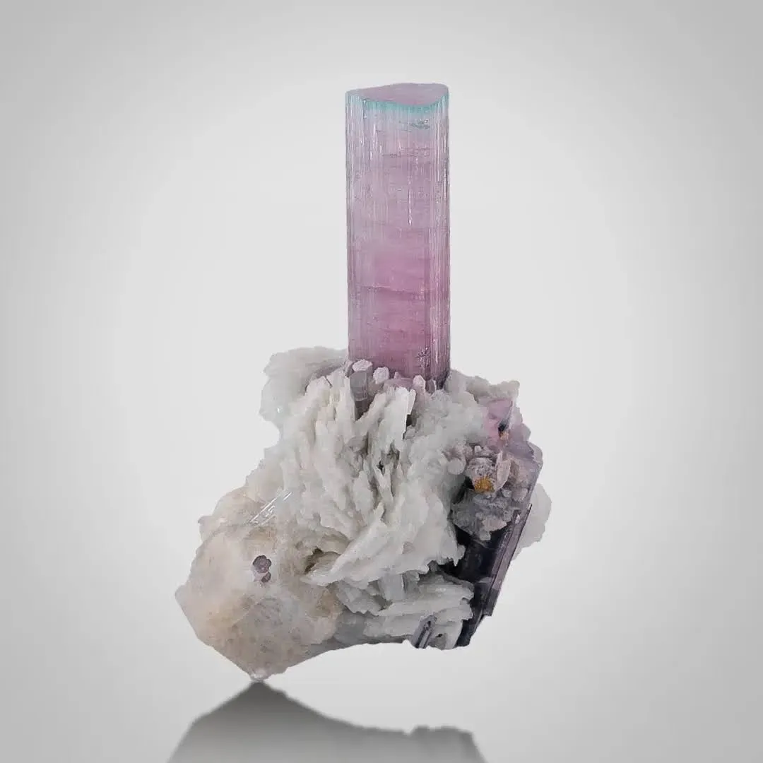 Bi Color Tourmaline - image 2