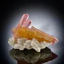 Bi Color Tourmaline Cluster on Albite Matrix - image 1