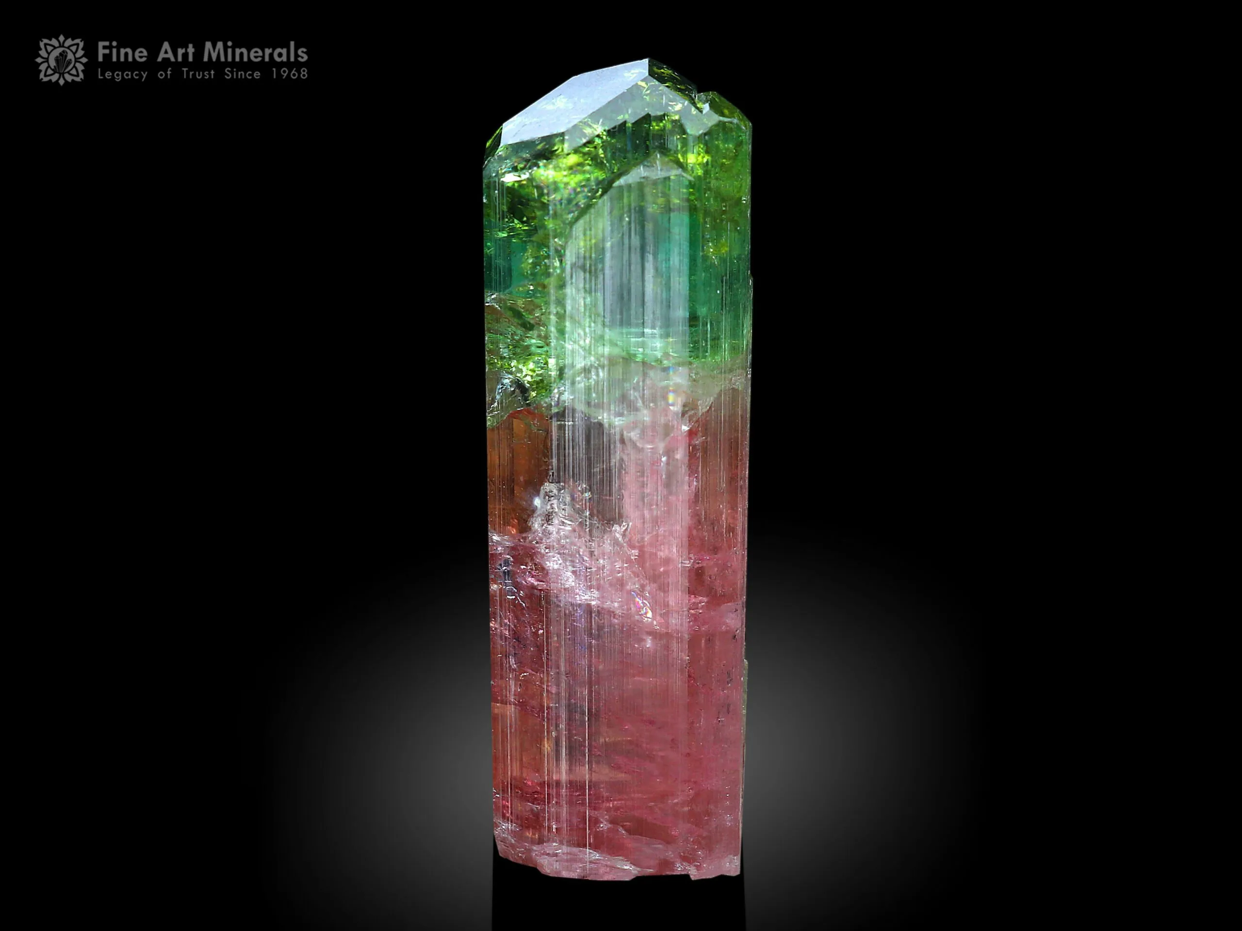 Bi Color Tourmaline Crystal from Congo - image 1