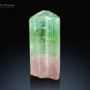 Bi Color Tourmaline Crystal from Paprok Afghanistan - image 1
