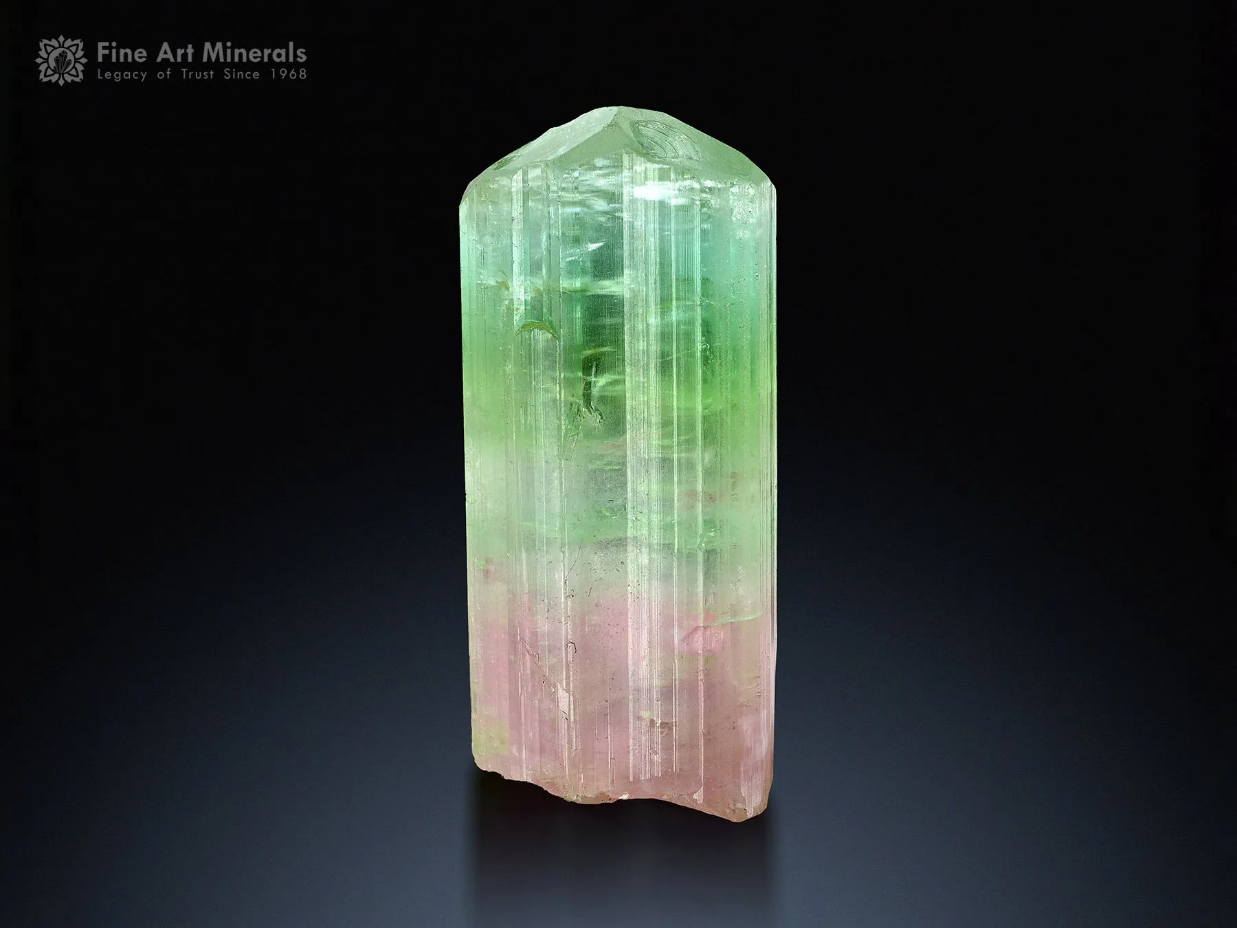 Bi Color Tourmaline Crystal from Paprok Afghanistan - image 1