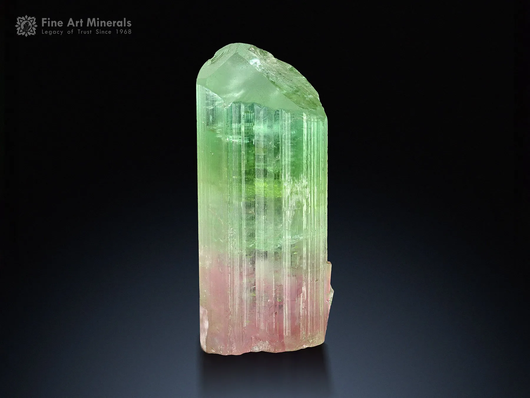 Bi Color Tourmaline Crystal from Paprok Afghanistan - image 2