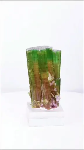 specimen video