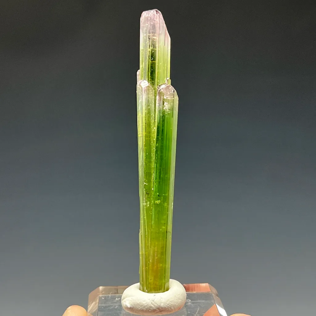Bi-Color Tourmaline image