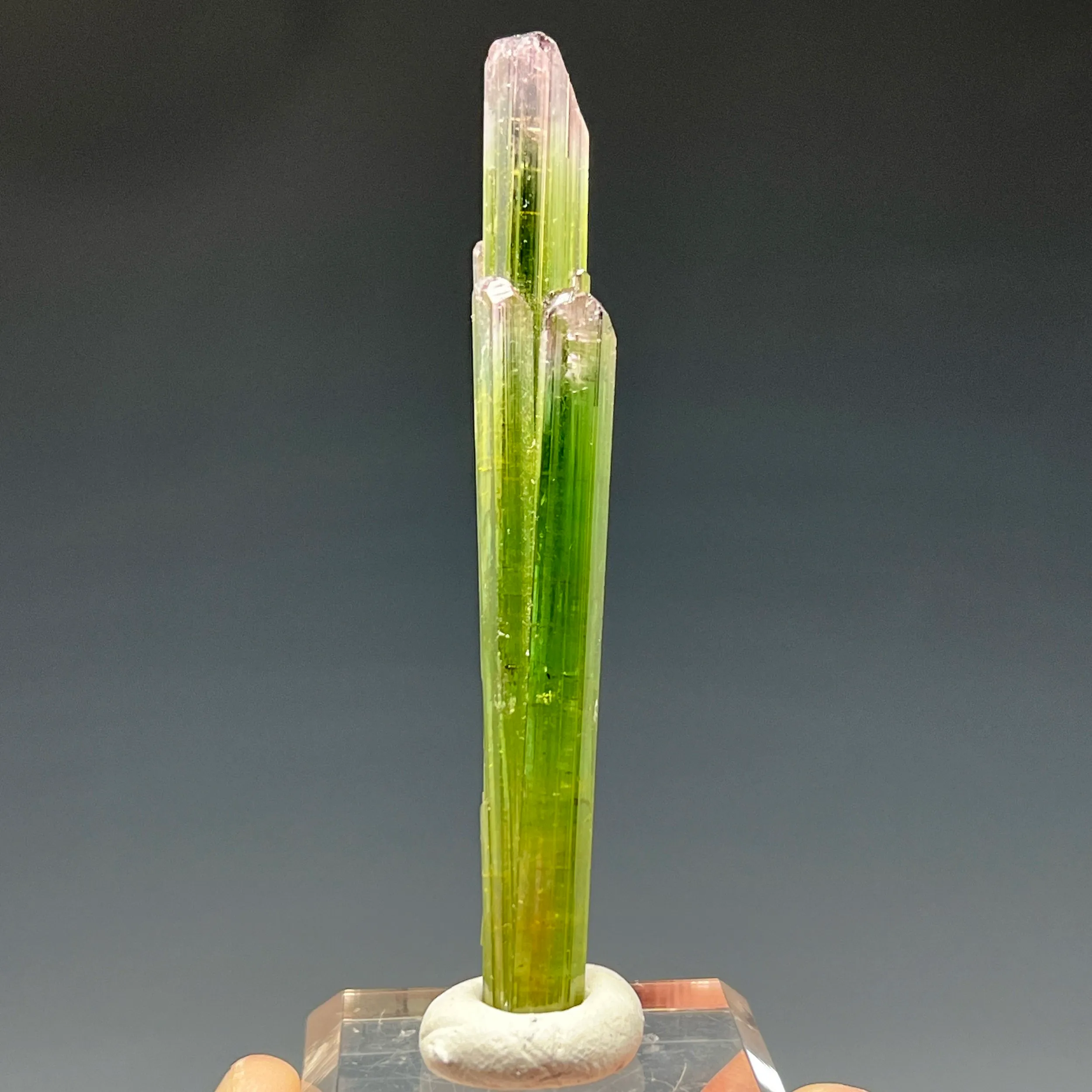 Bi-Color Tourmaline - image 1