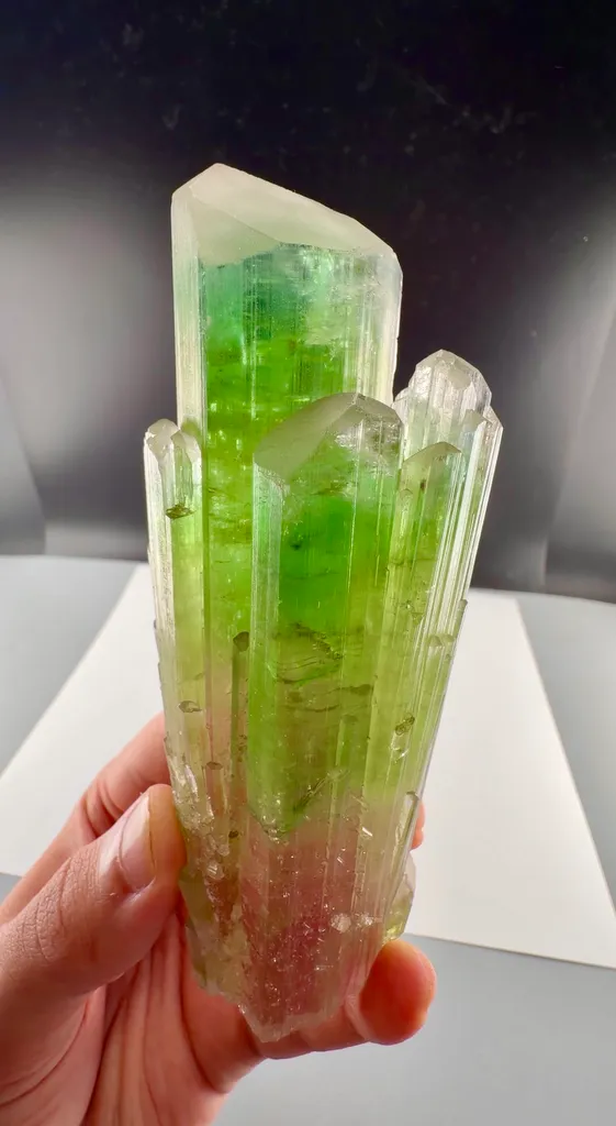 Bi color Tourmaline from Afghanistan image