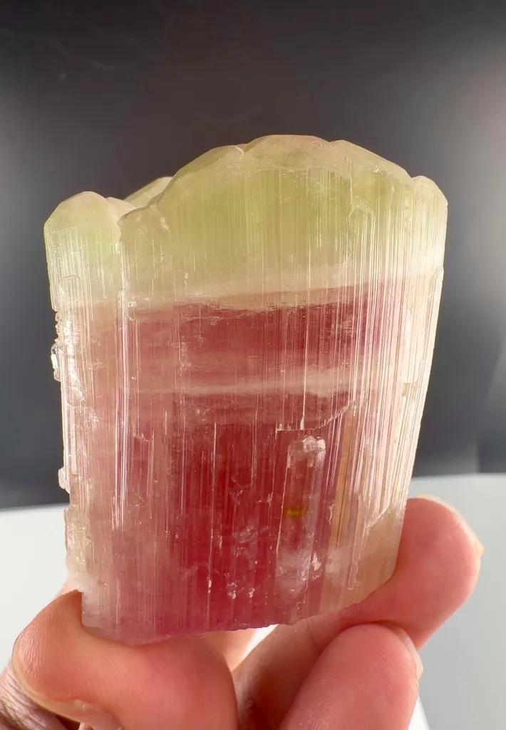 Bi color Tourmaline from Afghanistan image