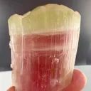 Bi color Tourmaline from Afghanistan - image 1