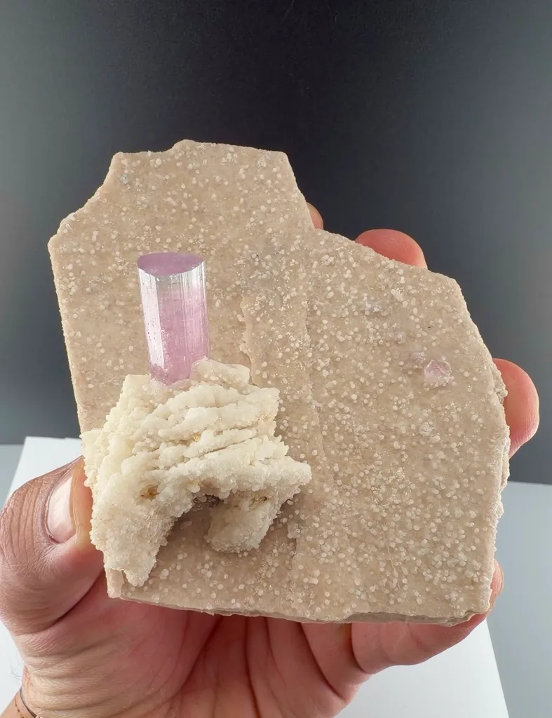 Bi color Tourmaline from Afghanistan image