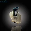 Bi-Color Tourmaline with Blue Cap on Mica Matrix - image 1