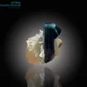 Bi-Color Tourmaline with Blue Cap on Mica Matrix - image 2