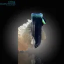 Bi-Color Tourmaline with Blue Cap on Mica Matrix - image 3