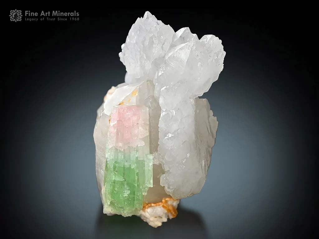 Bi Color Tourmaline with Quartz from Afghanistan image