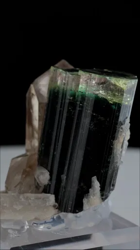 specimen video