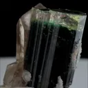 specimen video