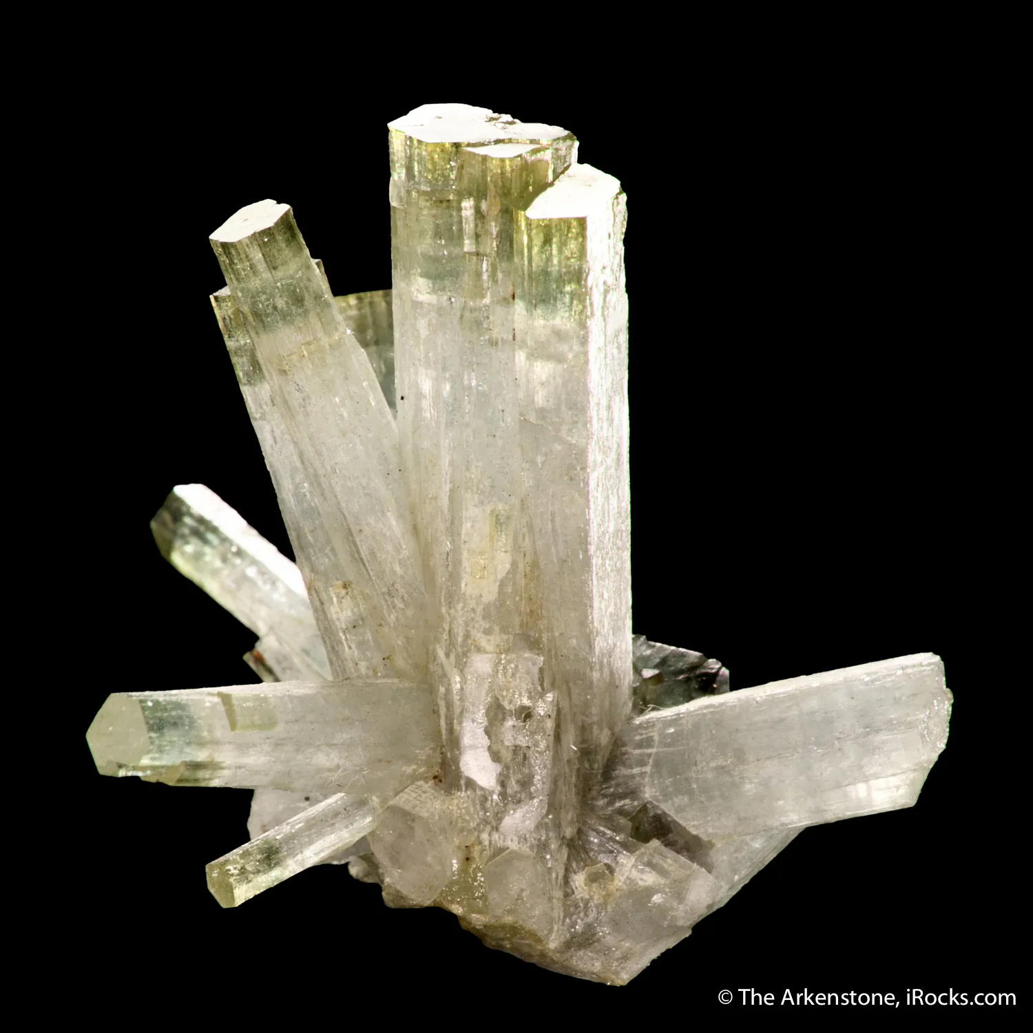 Bi-colored Beryl (Aquamarine and Heliodor) - image 4