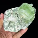 Bi-colored Fluorapophyllite and Stilbite Natural Mineral Specimen - image 4