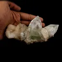 Bi- Colored Green Apophyllite with Stilbite Natural Mineral Specimen - image 5