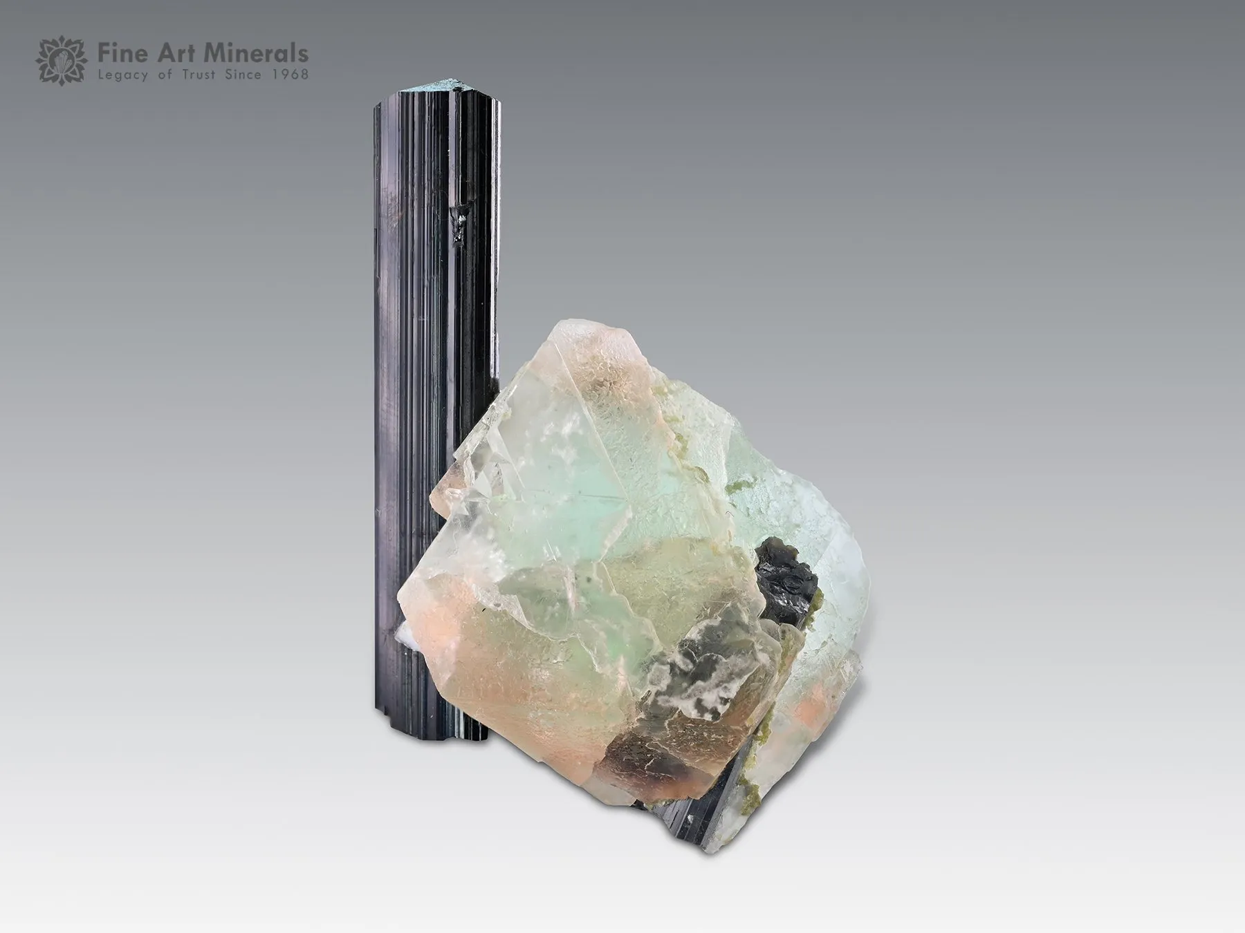 Bi colour Fluorite with Schorl from Pakistan - image 1