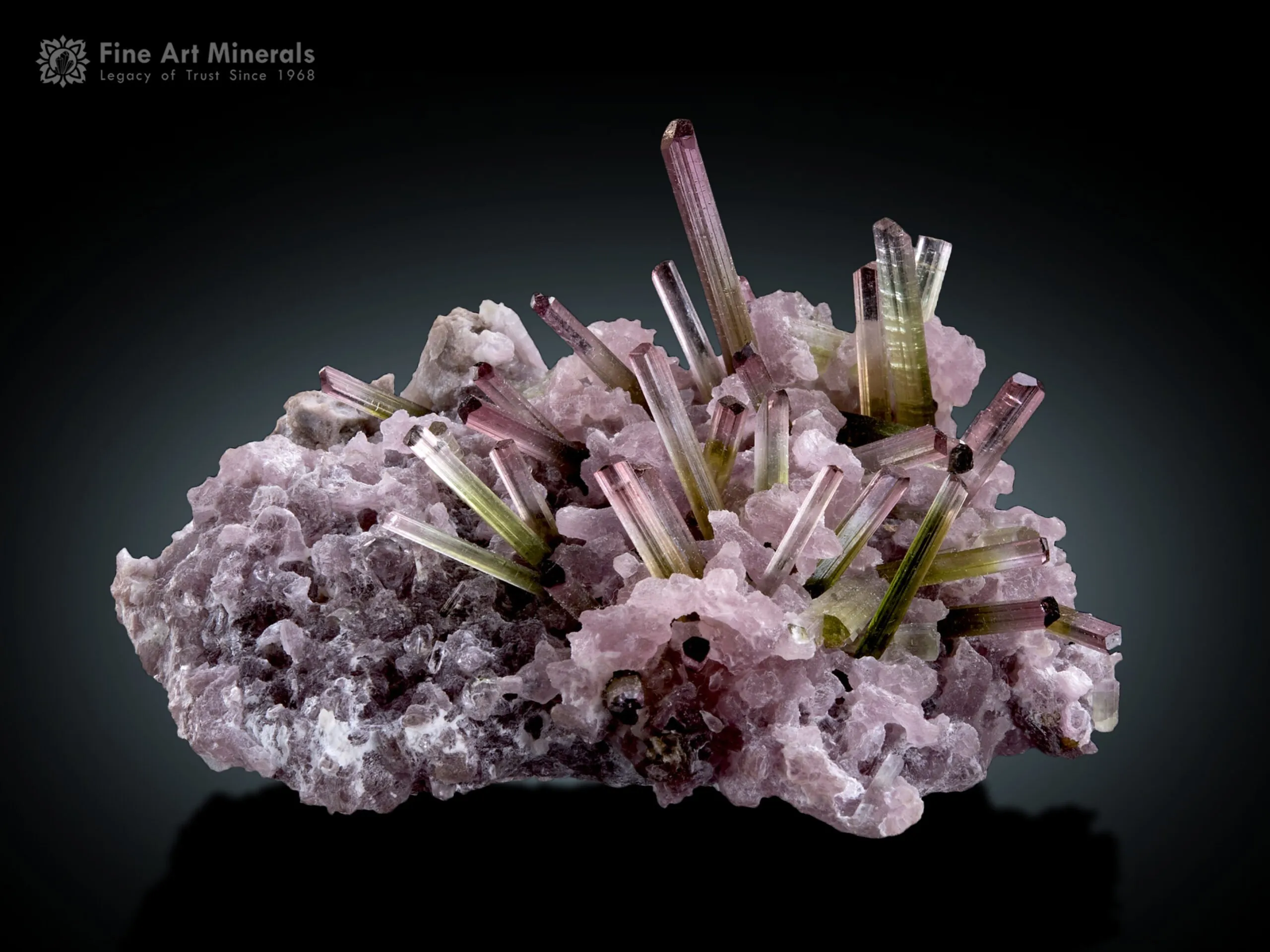 Bi Colour Tourmaline Cluster on Lepidolite from Afghanistan - image 1