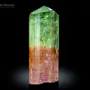 Bi Colour Tourmaline Crystal from Congo - image 2
