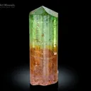 Bi Colour Tourmaline Crystal from Congo - image 1