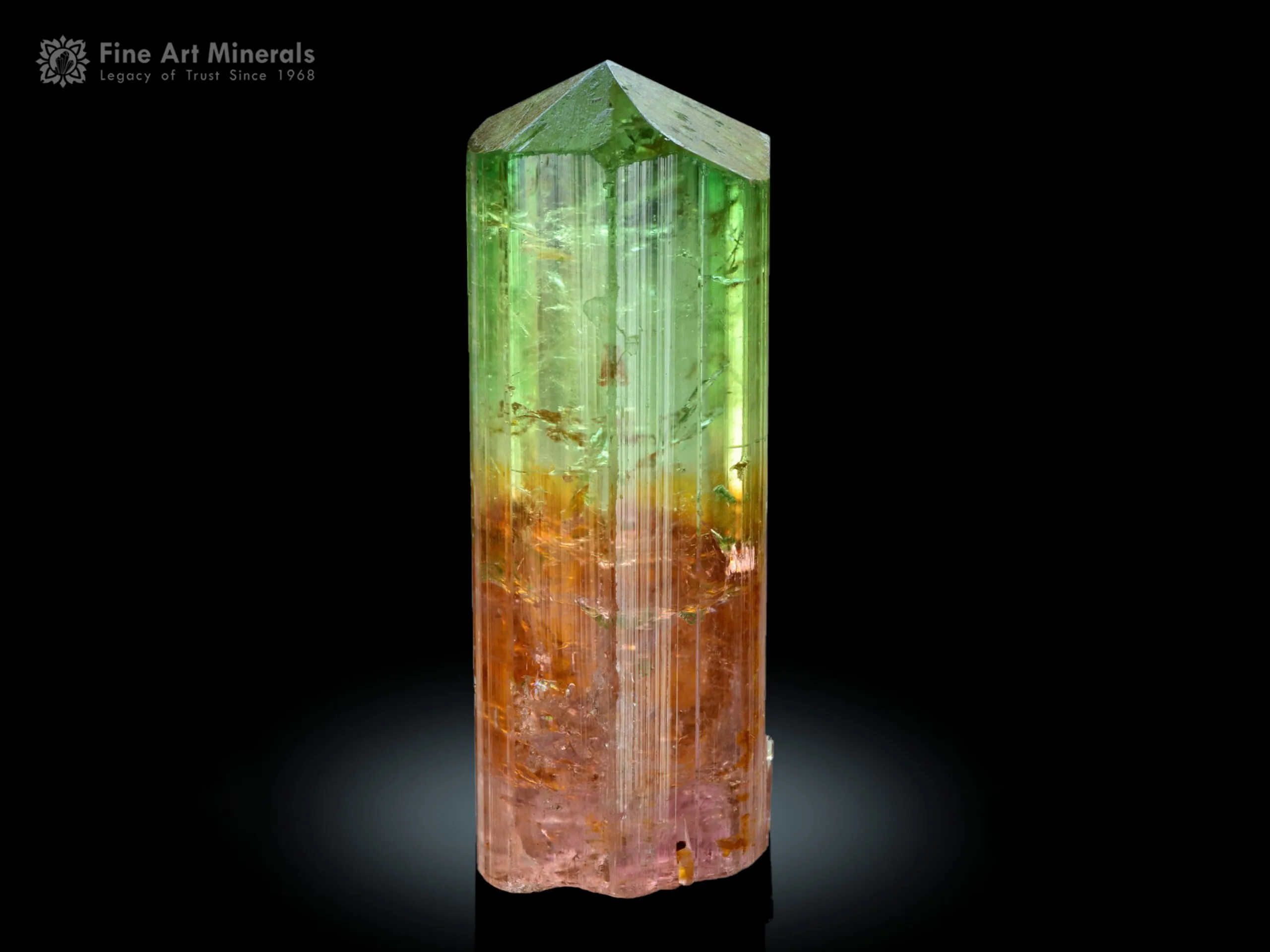Bi Colour Tourmaline Crystal from Congo - image 1