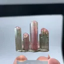 specimen video