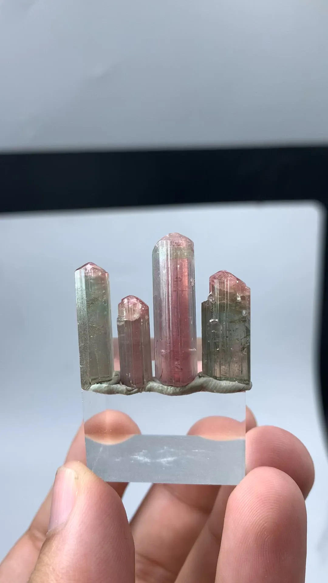 specimen video