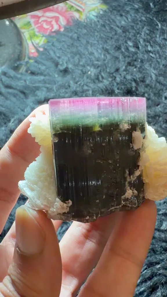 specimen video