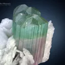 Bi Colour Tourmaline on Cleavelandite from Afghanistan - image 4