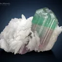 Bi Colour Tourmaline on Cleavelandite from Afghanistan - image 2