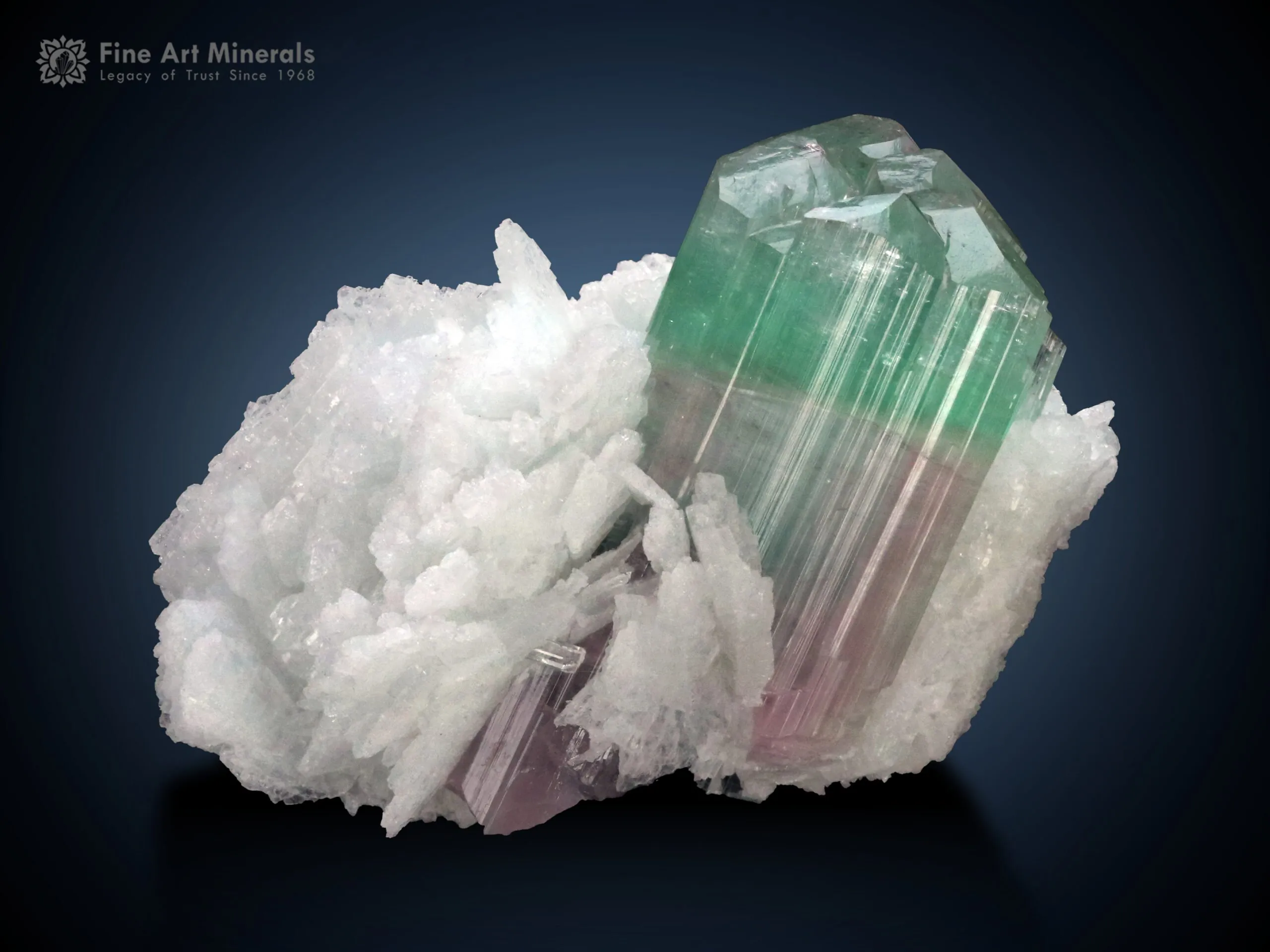 Bi Colour Tourmaline on Cleavelandite from Afghanistan - image 2