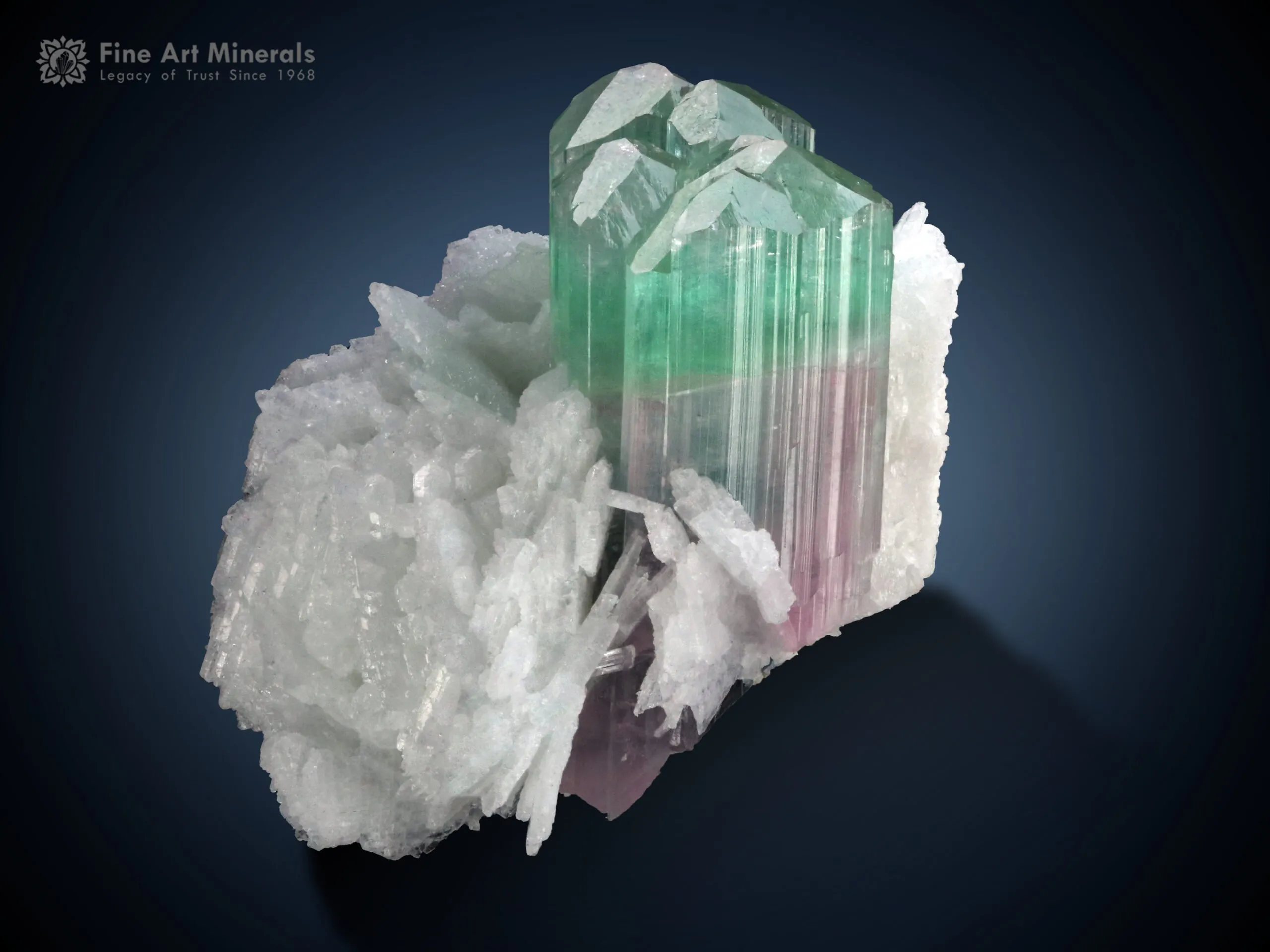 Bi Colour Tourmaline on Cleavelandite from Afghanistan - image 1