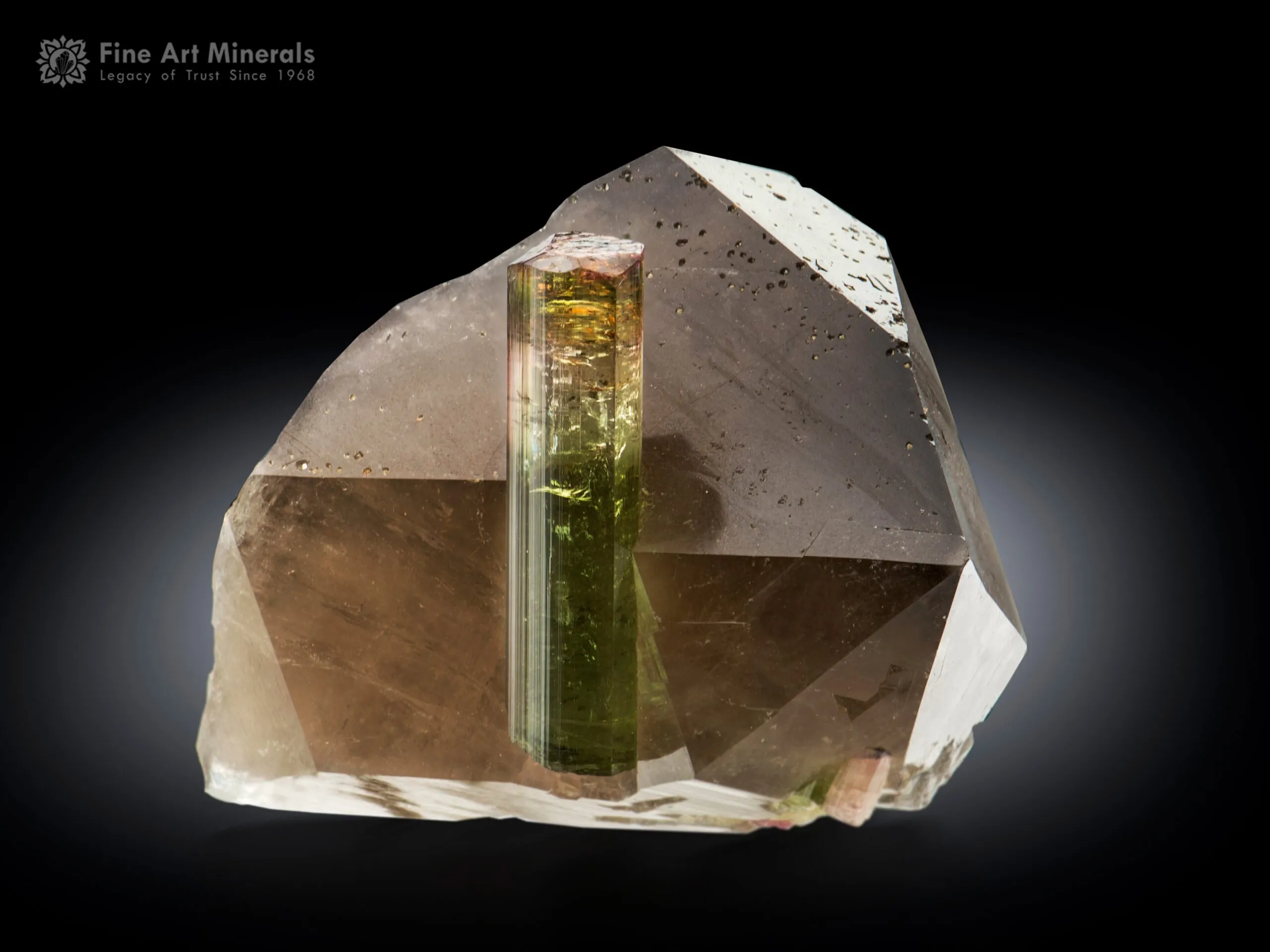 Bi Colour Tourmaline on Quartz from Brazil - image 1