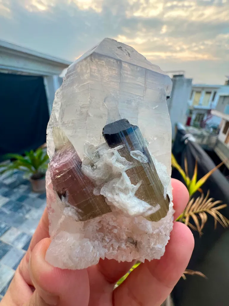 Bi colour tourmaline with quartz specimen image
