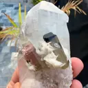 specimen video