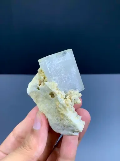 specimen video