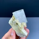 specimen video