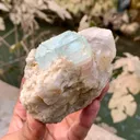 Bicolor Aquavar Morganite Crystal, Bicolor Beryl with Quartz combine on Matrix from Pakistan - image 7