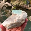 specimen video