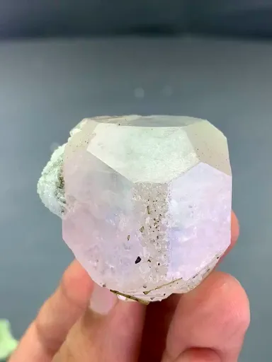 specimen video