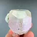 specimen video