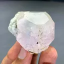 Bicolor Beryl, Aqua var Morganite Crystal with Hexagonal termionations from Afghanistan - image 5