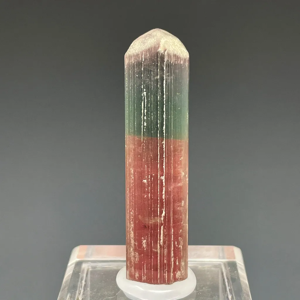 Bicolor Blue and Pink image