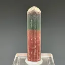 Bicolor Blue and Pink - image 1