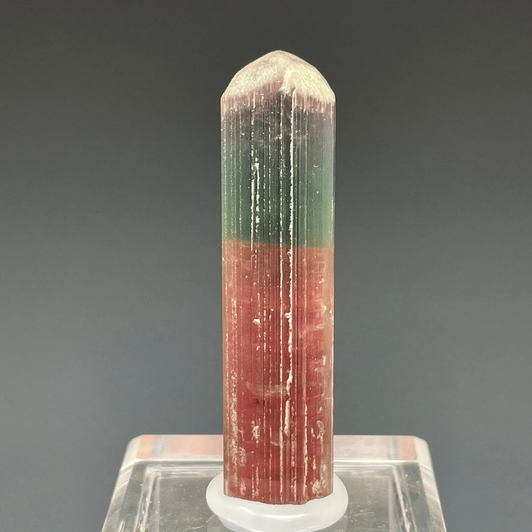 Bicolor Blue and Pink - image 1