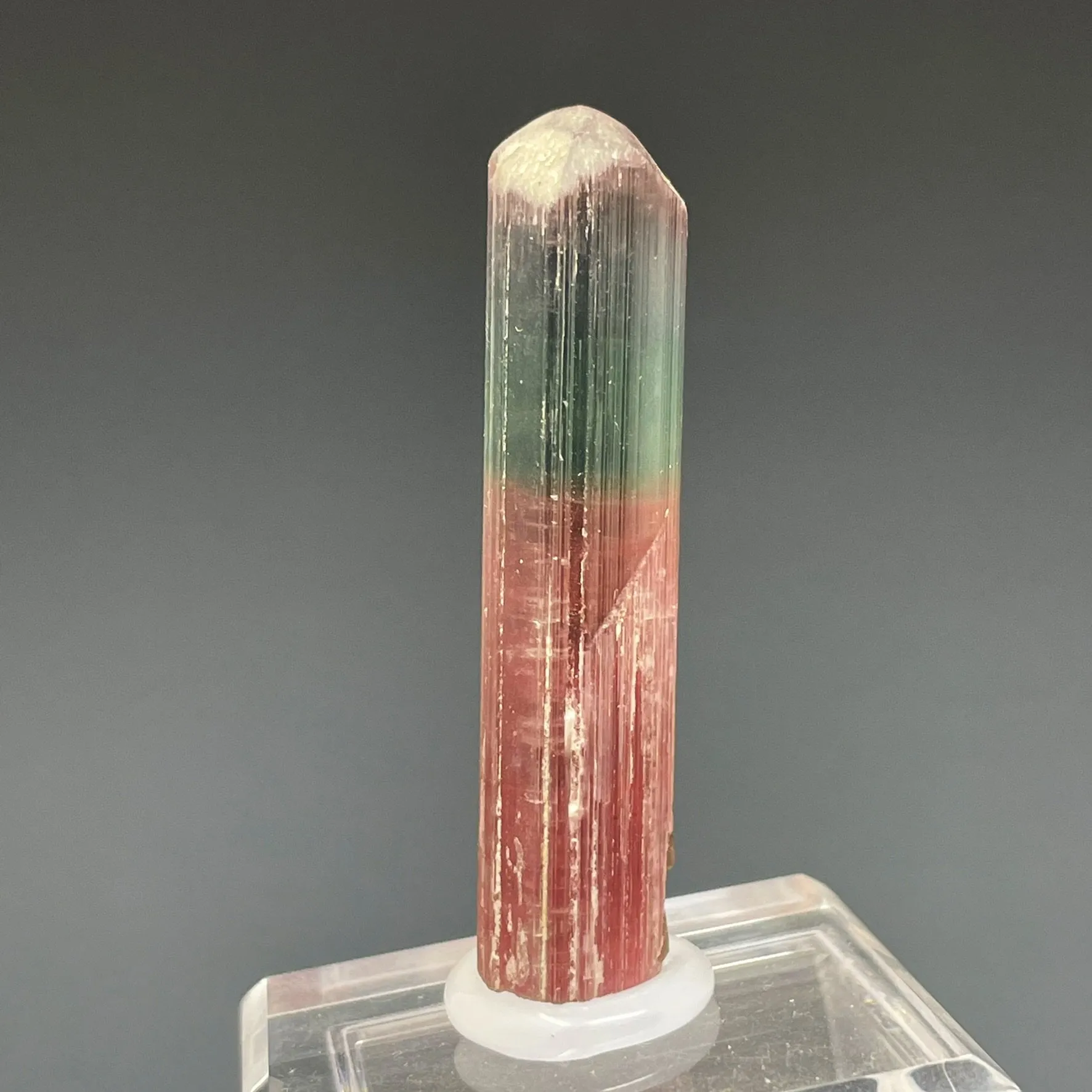 Bicolor Blue and Pink - image 3